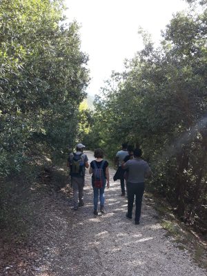 capoverde-parco-dei-sibillini-3-300x400