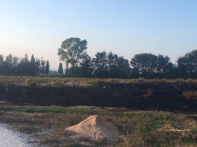 morto-incendio-porto-potenza-2-650x488