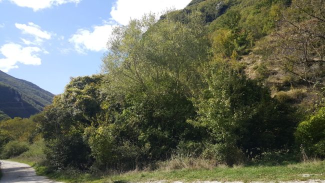 ordigno-bomba-valle-scurosa-1-650x366
