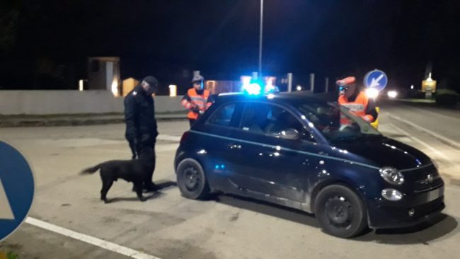 Cerbiatto-incidente-stradale-dei-pali-porto-Recanati-4-650x366