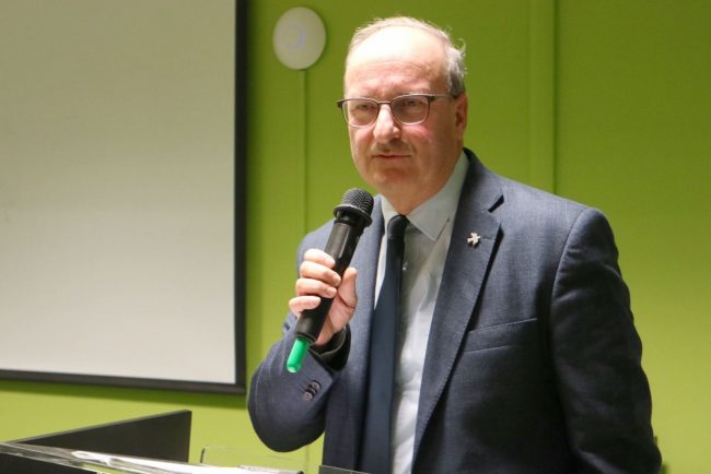 Mario-Busti