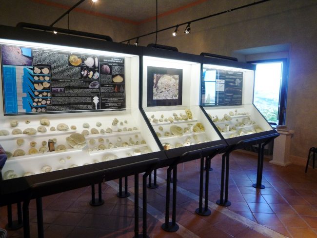 Museo5-650x488