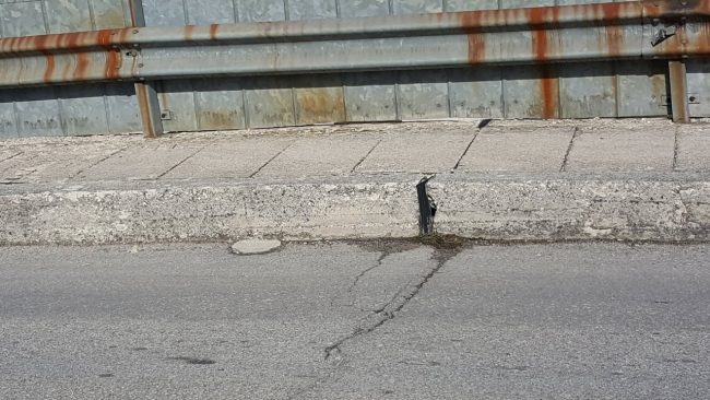 cavalcavia-castelraimondo-1-650x366