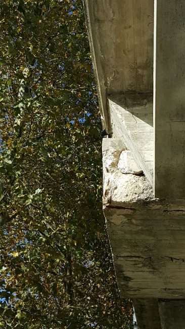 cavalcavia-castelraimondo-11-366x650