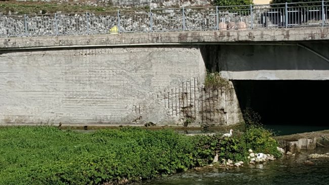 ponte-pioraco-provinciale-361-4-650x366