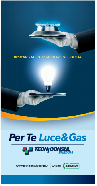 tecniconsul