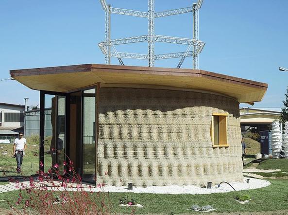 casa-wasp-Web-1