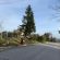 contrada-castellano-corridonia-2-55x55