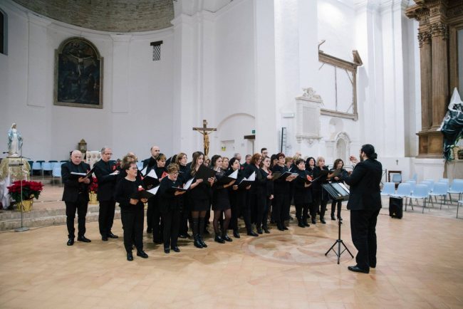 Solidalcanto