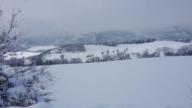 neve 11 gennaio 2019