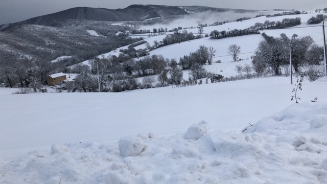 neve-11-gennaio-cingoli-mandino-tiburzi-2