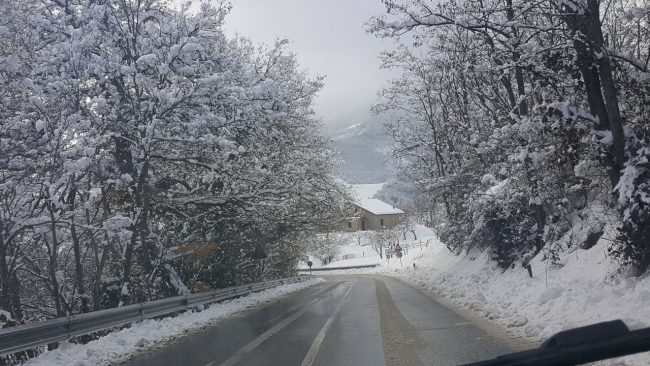 neve 11 gennaio 2019