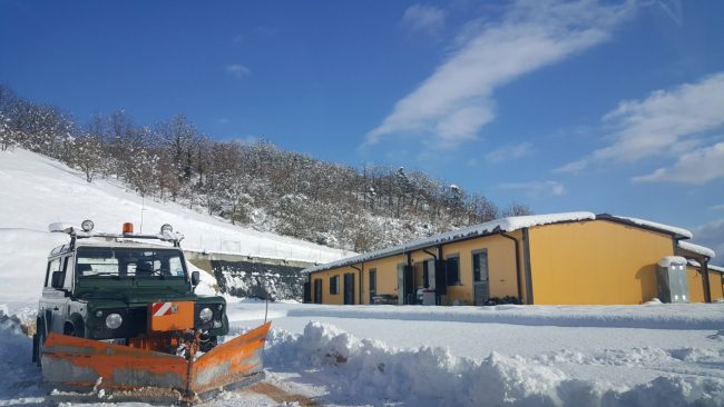 neve 11 gennaio 2019