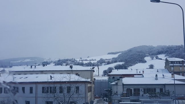 neve 11 gennaio 2019