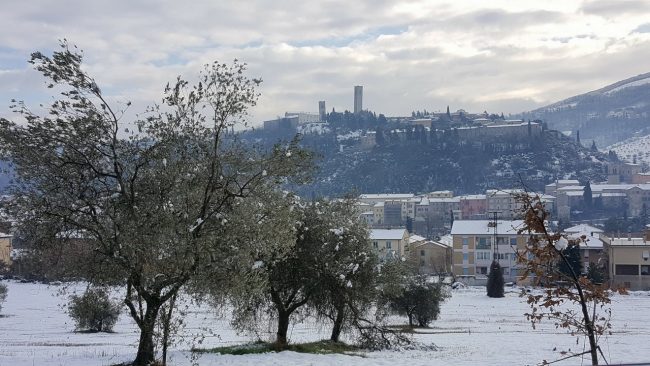 neve 11 gennaio 2019