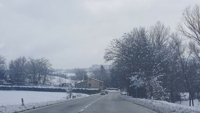 neve 11 gennaio 2019