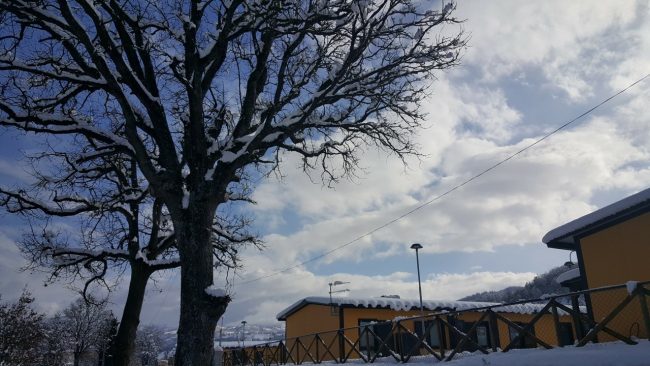 neve 11 gennaio 2019