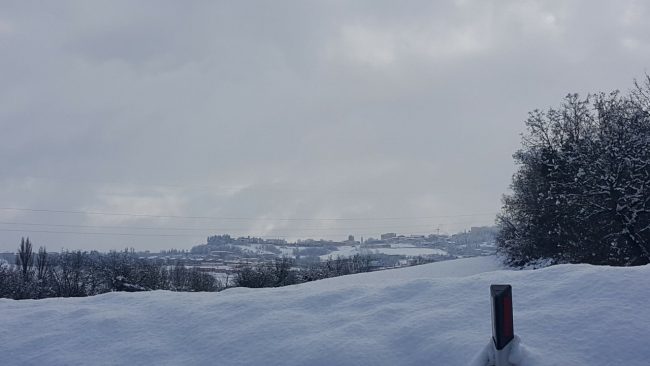 neve 11 gennaio 2019