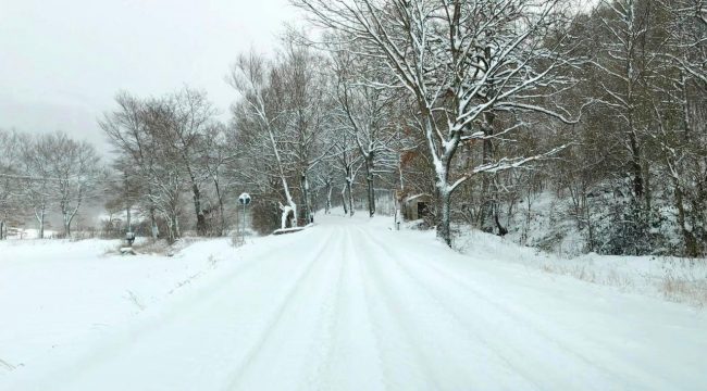 neve-4-gennaio-serravalle-650x360