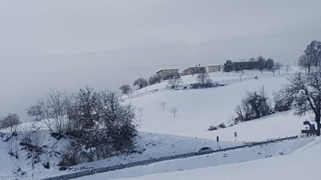 neve 11 gennaio 2019