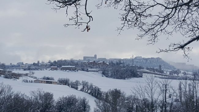 neve 11 gennaio 2019