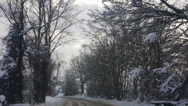 neve 11 gennaio 2019