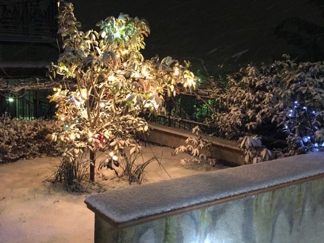 neve-cingoli-gennaio-2019-650x488
