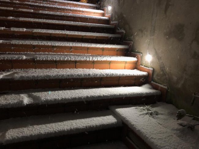 neve-cingoli-gennaio-20193-650x488