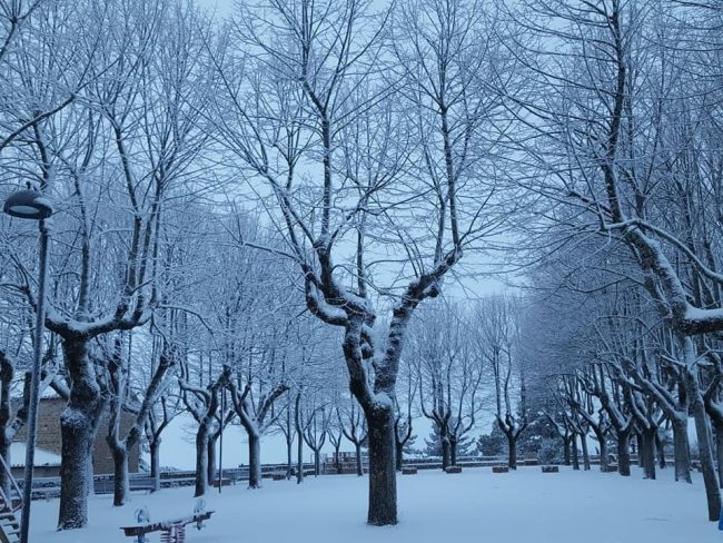 san-ginesio-neve-4-gennaio-2-650x488