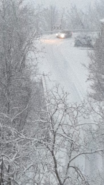 san-ginesio-neve-4-gennaio1-366x650