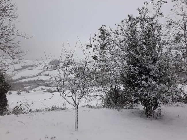 san-ginesio-neve-4-gennaio2-650x488