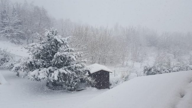 sarnano-neve-4-gennaio-1-1-650x366
