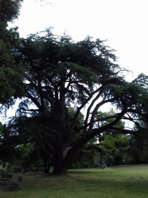 20180722_171357-300x400