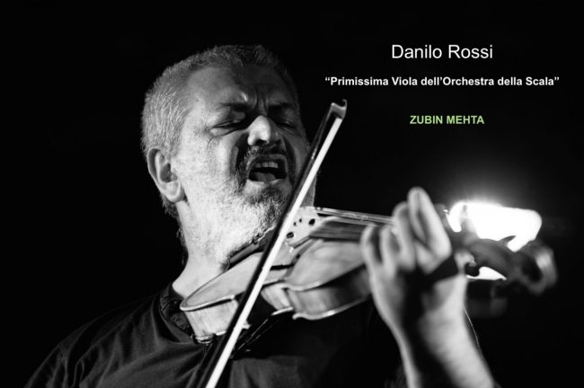 Danilo-Rossi-viola