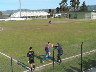 Calcio-1-325x244