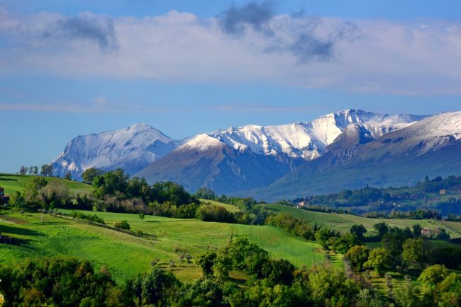 Neve-di-primavera_2-650x434