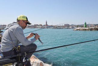 apertura-banchina-pesca-sportiva-porto-civitanova-FDM-8-325x217