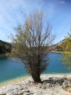 parco-sibilini-2-300x400