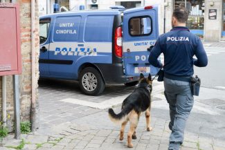 Polizia_Archivio_Arkiv_FF-10-325x217