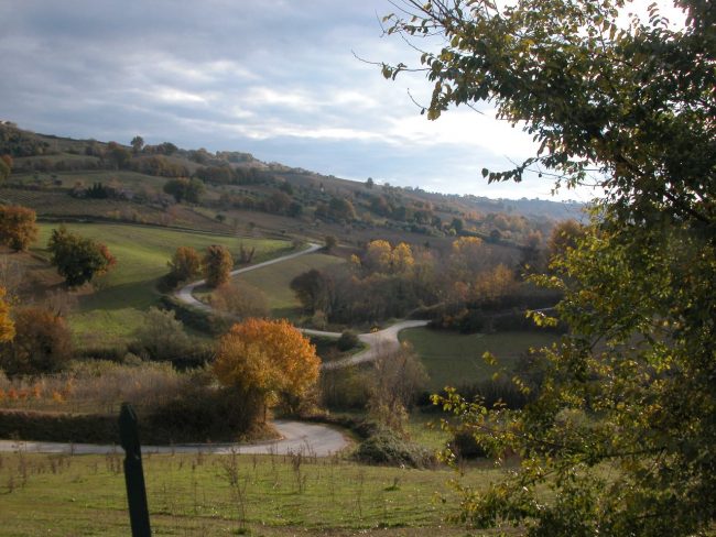 contadini-del-biologico-2-1-650x488