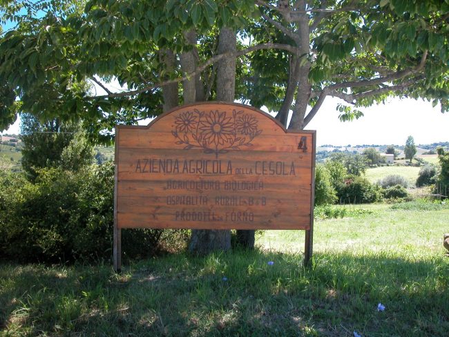 contadini-del-biologico-4-1-650x488