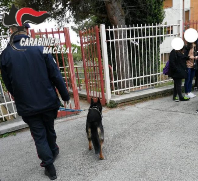 controlli-carabinieri-scuole-1-e1557054899120-650x594