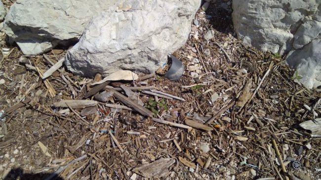 rifiuti-spiaggia-molo-sud-civitanova-11-650x365