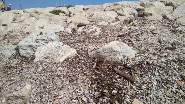 rifiuti-spiaggia-molo-sud-civitanova-12-650x365