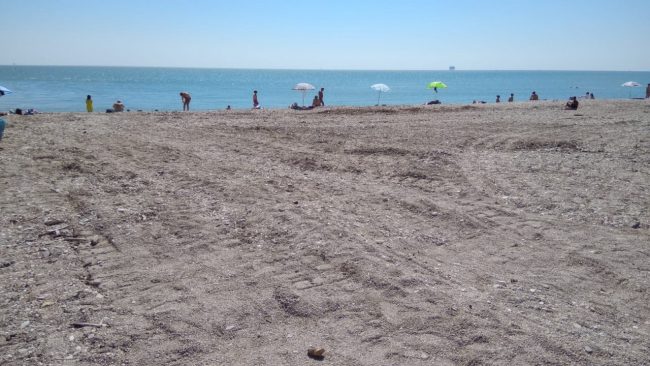 rifiuti-spiaggia-molo-sud-civitanova-15-650x366