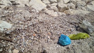 rifiuti-spiaggia-molo-sud-civitanova-3-325x183