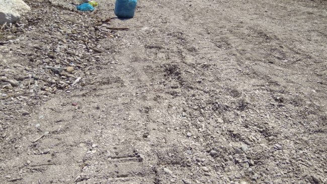 rifiuti-spiaggia-molo-sud-civitanova-5-650x366