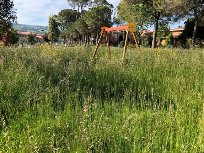 villaggio-sae-treia1-650x488
