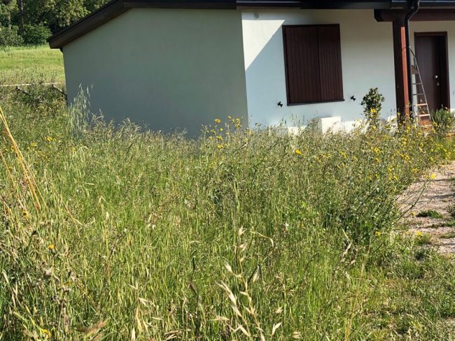 villaggio-sae-treia3-650x488
