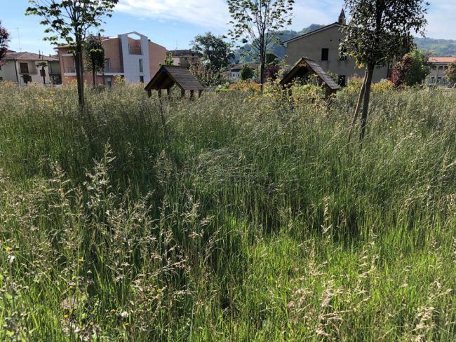 villaggio-sae-treia4-650x488